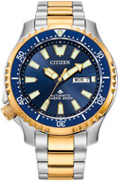 Citizen Promaster NY0154-51L