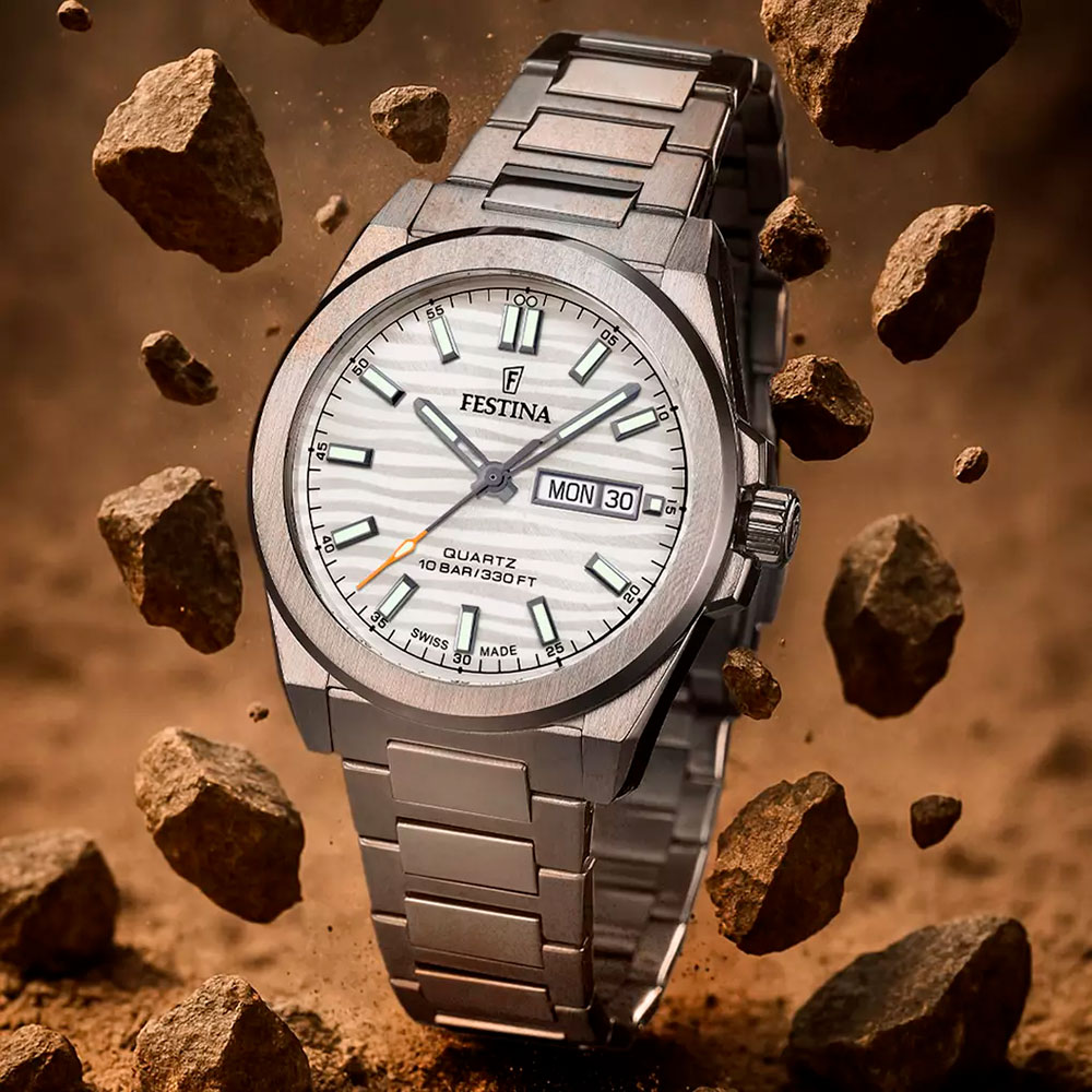 festina F20073.1