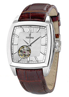 Festina Automatic 6753.1