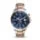 fossil CH2954
