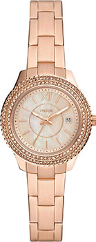 Fossil Stella