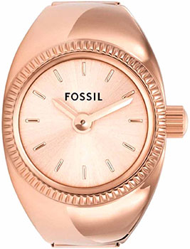 Fossil Watch Ring