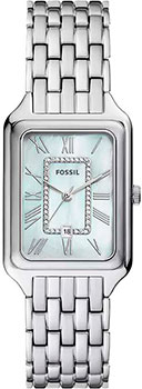 Fossil Raquel