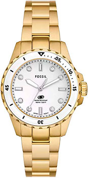 Fossil Fossil Blue