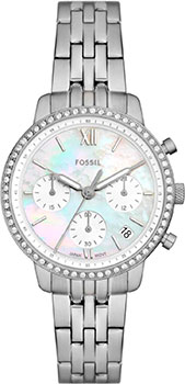 Fossil Neutra