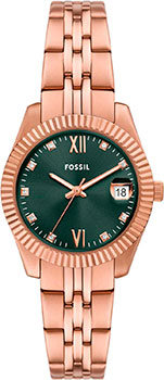 Fossil Scarlette