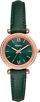 Fossil Carlie