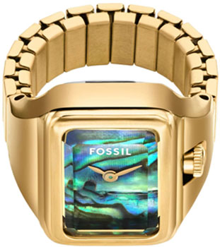 Fossil Watch Ring