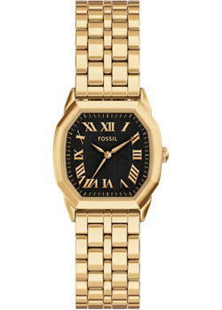 Fossil Harlow