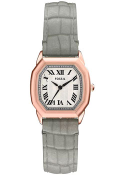 Fossil Harlow