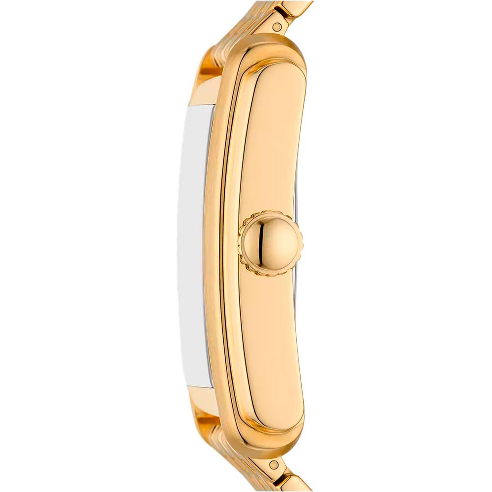 fossil FS6009