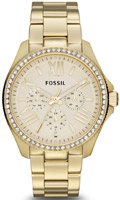 Fossil Cecile AM4482