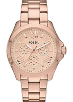 Fossil Cecile AM4511