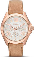 Fossil Cecile AM4532