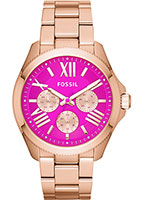 Fossil Cecile AM4549