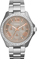 Fossil Cecile AM4628