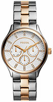 Fossil Modern Sophisticate BQ1564