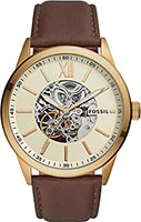 Fossil Flynn BQ2382