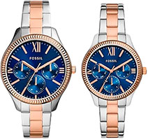 Fossil Rye BQ2736SET