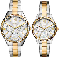 Fossil Rye BQ2737SET