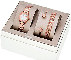 Fossil Blythe BQ3148_SET