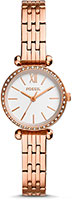 Fossil Tillie Mini BQ3502