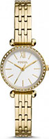 Fossil Tillie Mini BQ3503