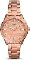 Fossil Dayle BQ3596