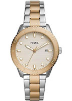 Fossil Dayle BQ3597