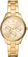 Fossil Rye BQ3692