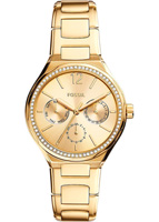 Fossil Eevie BQ3722