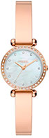 Fossil Tillie Mini BQ3894