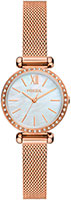 Fossil Tillie Mini BQ3897
