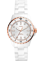 Fossil FB-01 CE1107