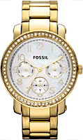 Fossil Multifunction ES2968