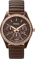 Fossil Multifunction ES2974