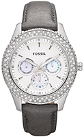 Fossil Multifunction ES2995