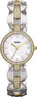 Fossil Dress ES3018