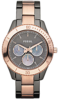 Fossil Multifunction ES3030