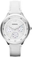 Fossil Multifunction ES3249