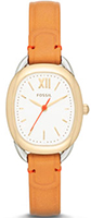 Fossil Sculptor ES3558