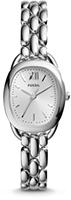 Fossil Sculptor ES3598