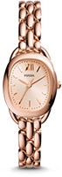 Fossil Sculptor ES3599