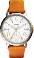 Fossil Gazer ES4161