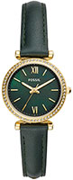 Fossil Carlie Mini ES4651