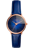 Fossil Prismatic Galaxy ES4729