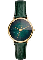 Fossil Prismatic Galaxy ES4730