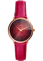 Fossil Prismatic Galaxy ES4731