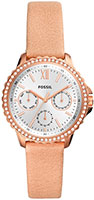 Fossil Izzy ES4888