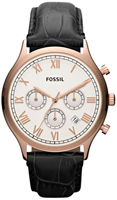 Fossil Ansel FS4744
